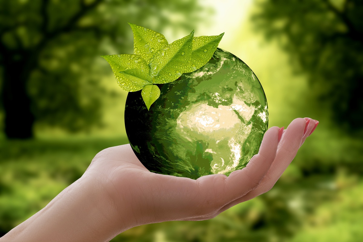 ISO 14001 Certification